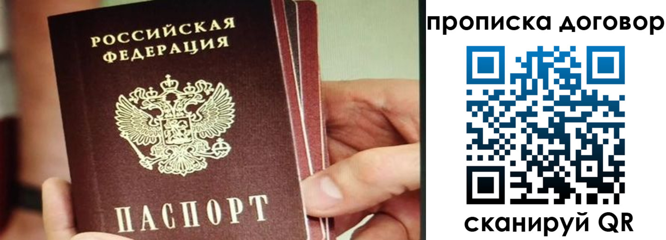 прописка в Белебее